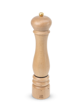 Load image into Gallery viewer, Paris Electrique