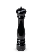 Load image into Gallery viewer, Paris Electrique