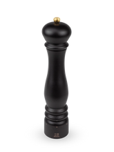 Load image into Gallery viewer, Paris Electrique