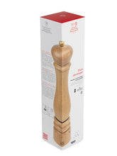 Load image into Gallery viewer, Paris Electrique