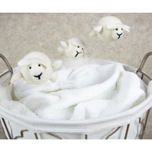 Load image into Gallery viewer, Flyerballs