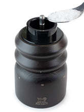 Load image into Gallery viewer, Paris Electrique