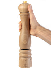 Load image into Gallery viewer, Paris Electrique