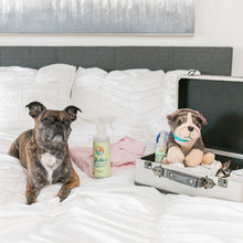 Load image into Gallery viewer, Wrinkle-B-Gone